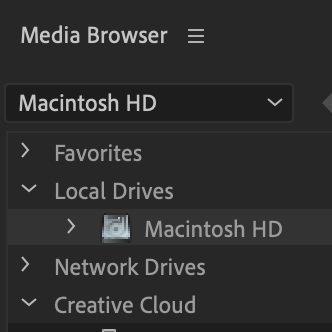 Media Browser Panel